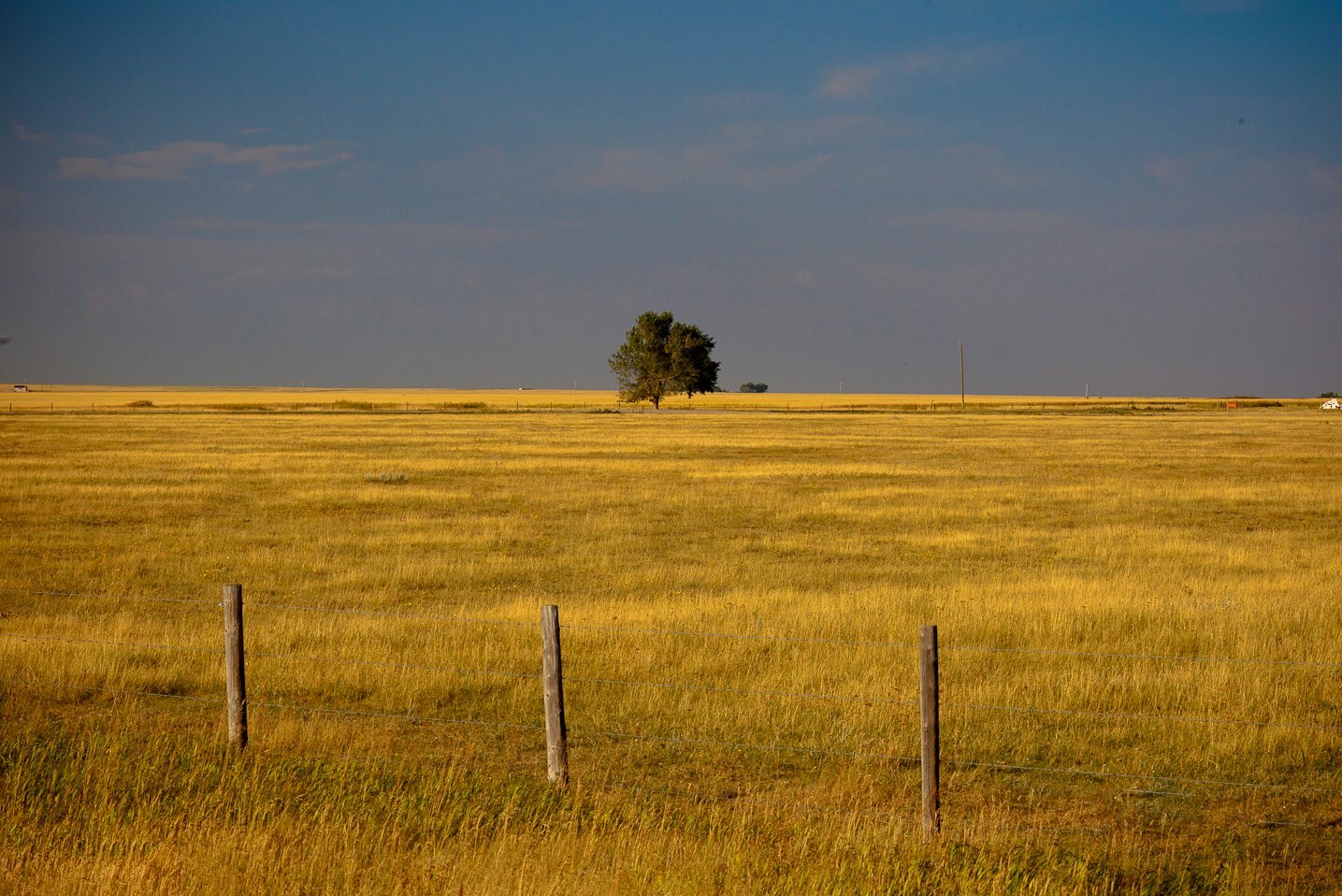 Rural Alberta farmland landscape